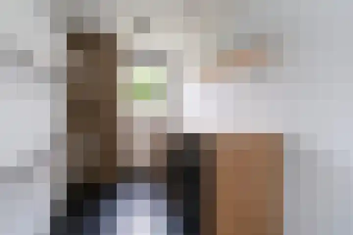 Reidfoarn 14 Hurdegaryp thumbnail 19