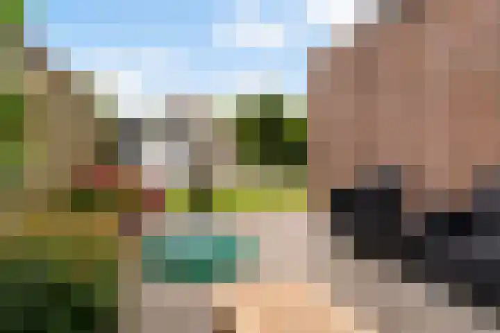 Reidfoarn 14 Hurdegaryp thumbnail 20