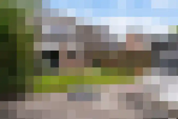 Reidfoarn 14 Hurdegaryp thumbnail 22