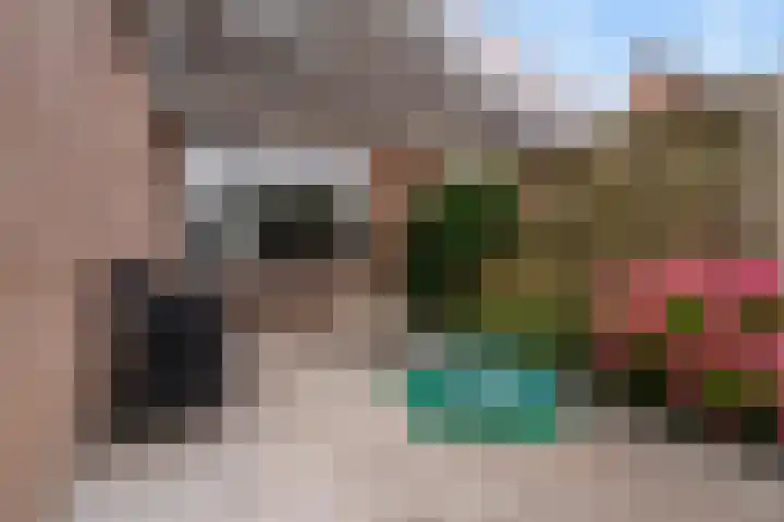 Reidfoarn 14 Hurdegaryp thumbnail 23