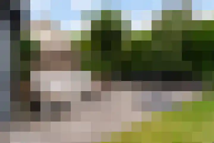 Reidfoarn 14 Hurdegaryp thumbnail 24
