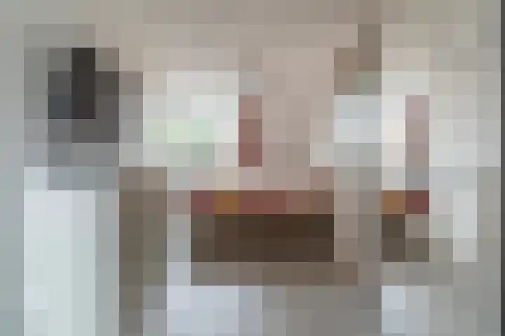 Reidfoarn 14 Hurdegaryp thumbnail 26