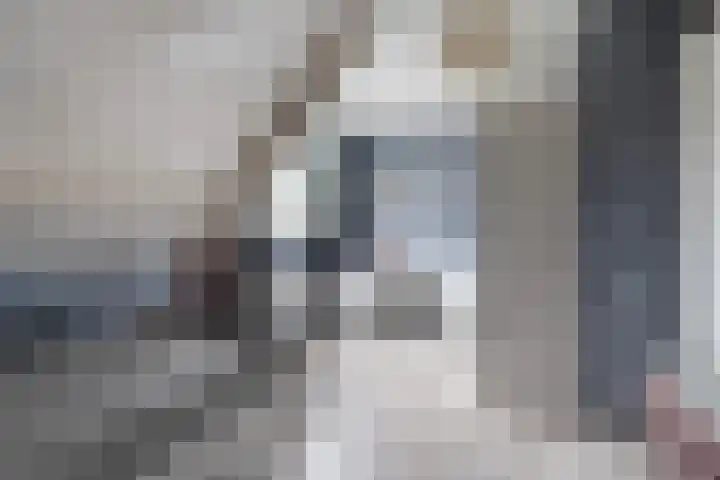 Reidfoarn 14 Hurdegaryp thumbnail 31