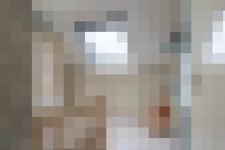 Reidfoarn 14 Hurdegaryp thumbnail 32