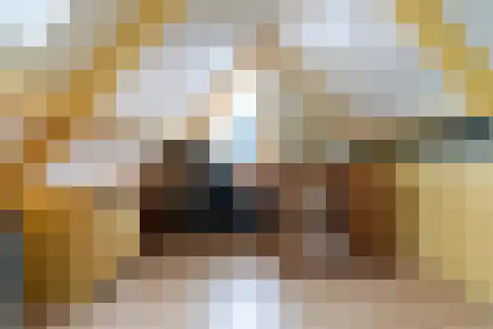 Reidfoarn 14 Hurdegaryp thumbnail 33