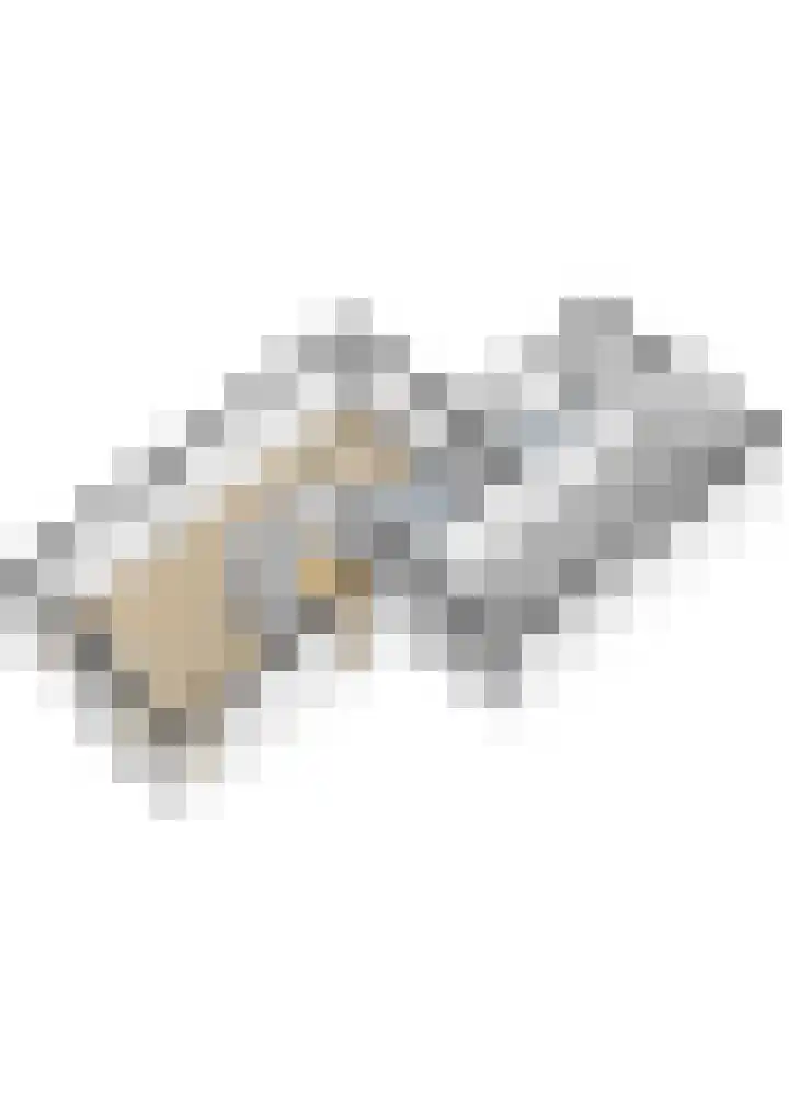 Reidfoarn 14 Hurdegaryp thumbnail 39