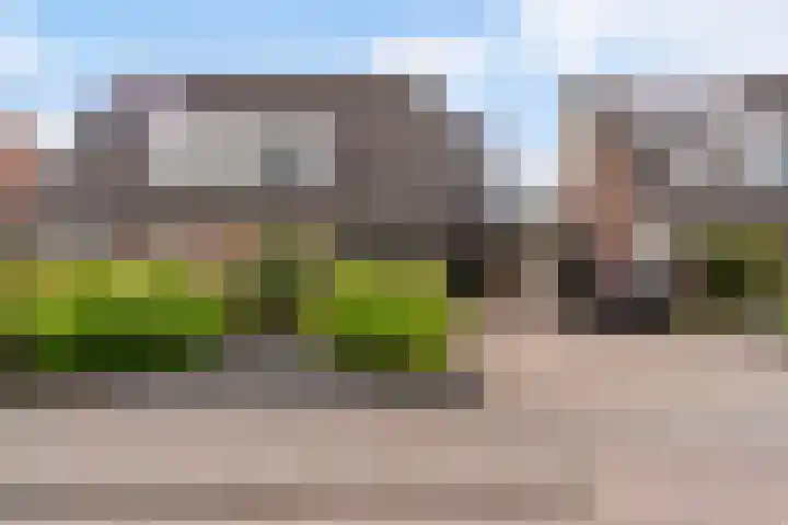 Reidfoarn 14 Hurdegaryp thumbnail 44