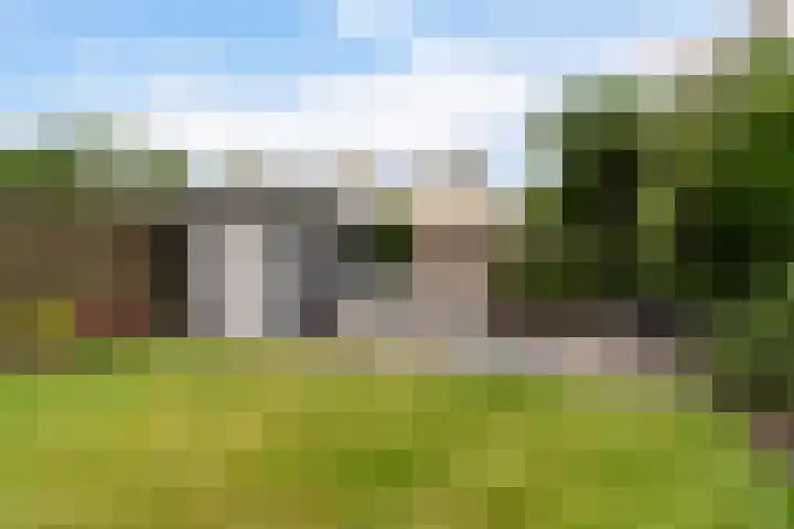 Reidfoarn 14 Hurdegaryp thumbnail 6