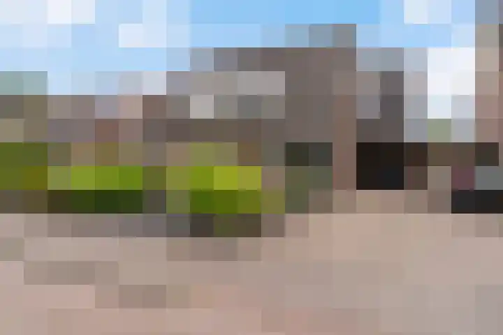 Reidfoarn 14 Hurdegaryp thumbnail 7
