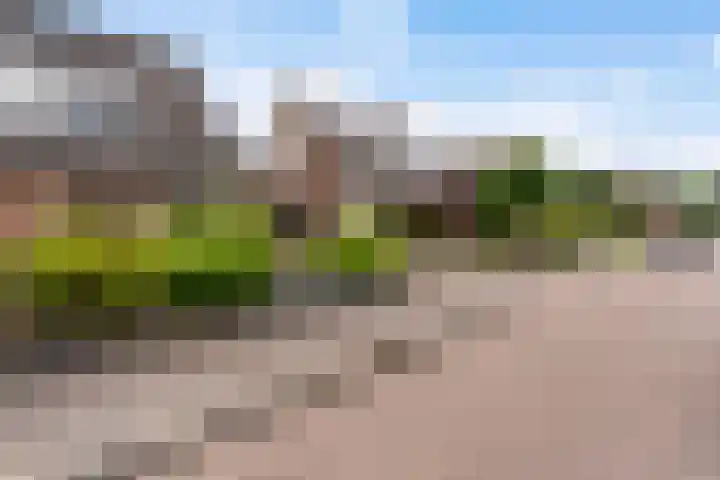 Reidfoarn 14 Hurdegaryp thumbnail 8