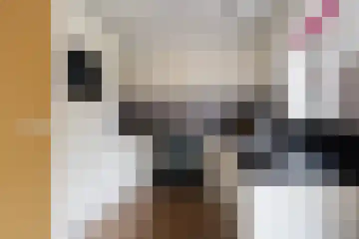 Reidfoarn 25 Hurdegaryp thumbnail 10