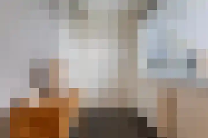 Reidfoarn 25 Hurdegaryp thumbnail 11