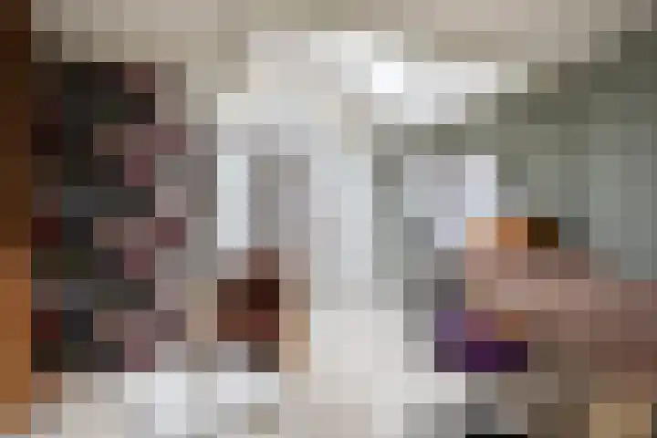 Reidfoarn 25 Hurdegaryp thumbnail 13