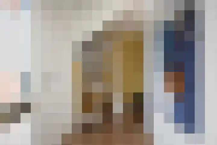 Reidfoarn 25 Hurdegaryp thumbnail 17