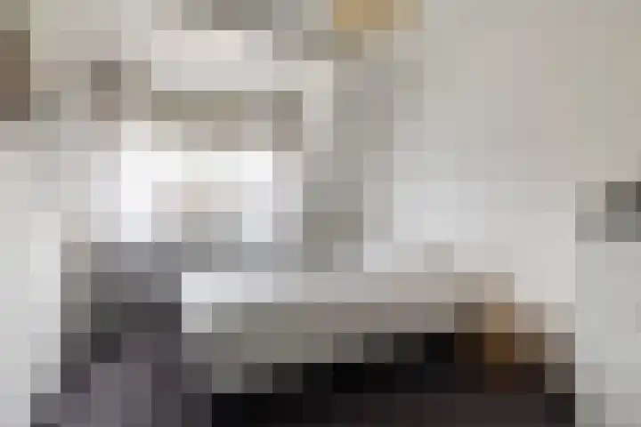 Reidfoarn 25 Hurdegaryp thumbnail 18