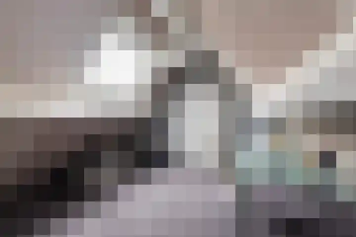 Reidfoarn 25 Hurdegaryp thumbnail 30