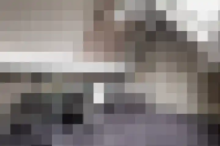 Reidfoarn 25 Hurdegaryp thumbnail 31