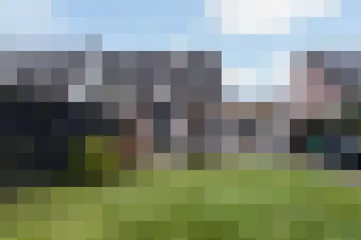 Reidfoarn 25 Hurdegaryp thumbnail 32