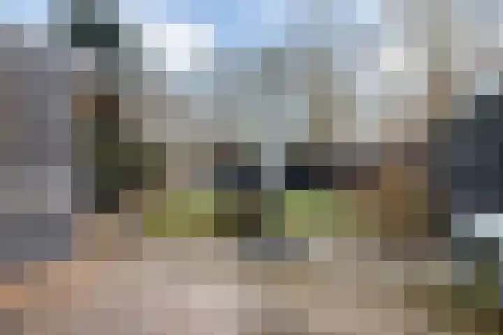 Reidfoarn 25 Hurdegaryp thumbnail 33