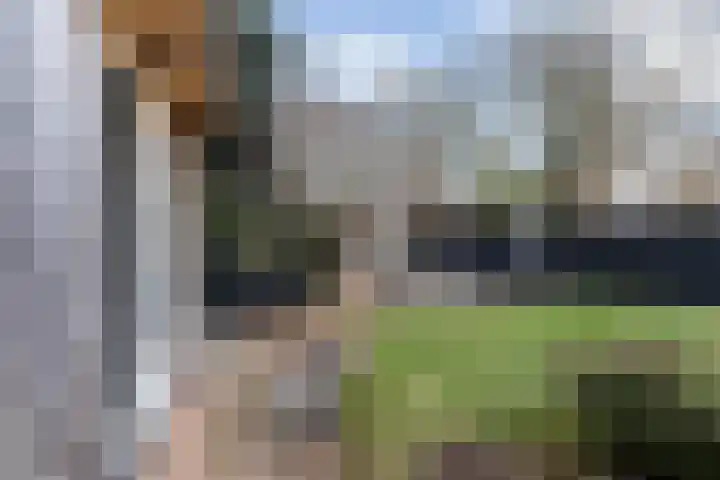 Reidfoarn 25 Hurdegaryp thumbnail 34