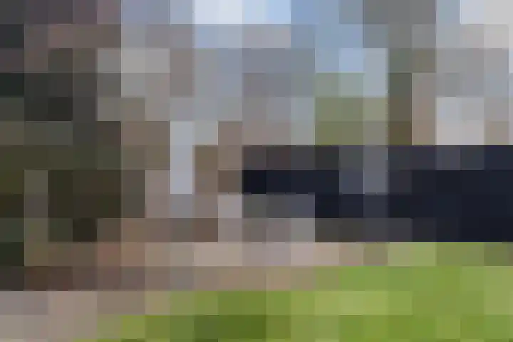 Reidfoarn 25 Hurdegaryp thumbnail 35
