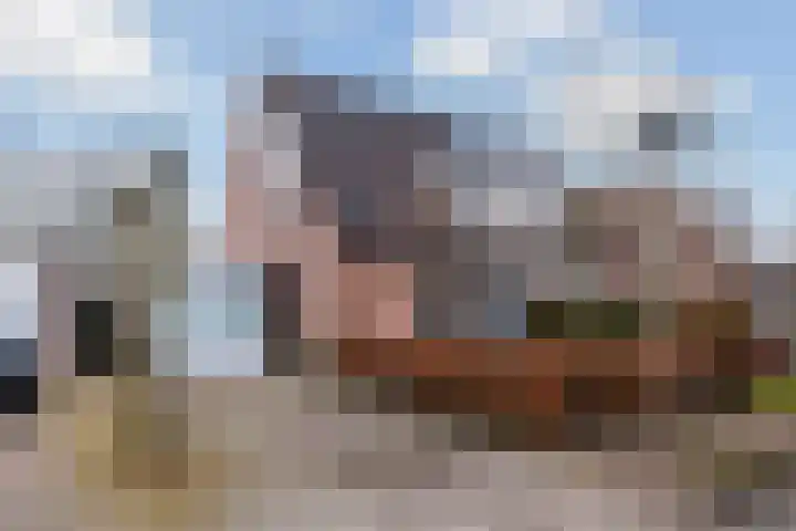 Reidfoarn 25 Hurdegaryp thumbnail 37