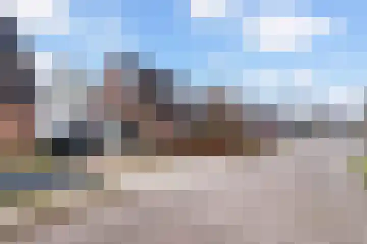 Reidfoarn 25 Hurdegaryp thumbnail 38