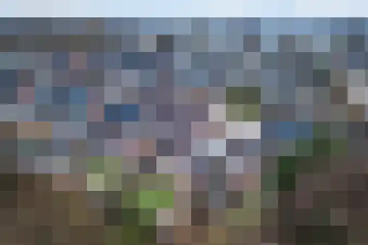 Reidfoarn 25 Hurdegaryp thumbnail 39