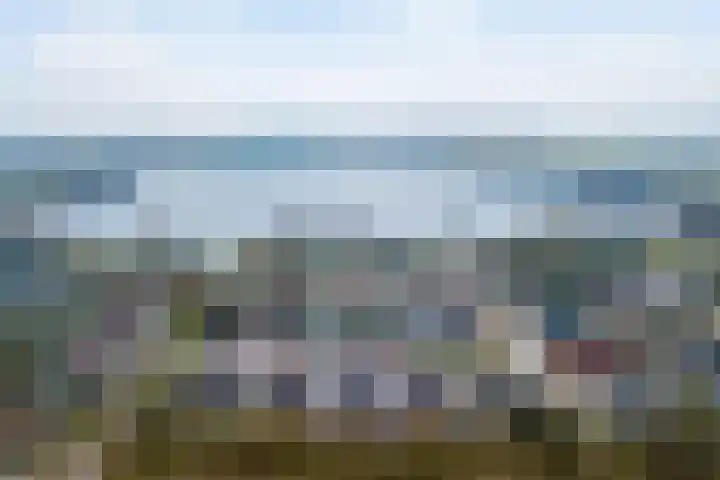Reidfoarn 25 Hurdegaryp thumbnail 40