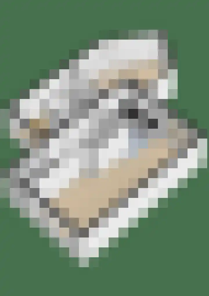 Reidfoarn 25 Hurdegaryp thumbnail 43