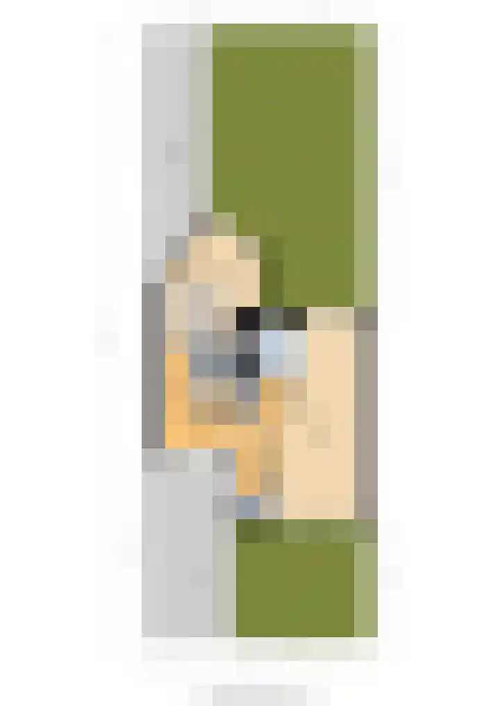 Reidfoarn 25 Hurdegaryp thumbnail 48