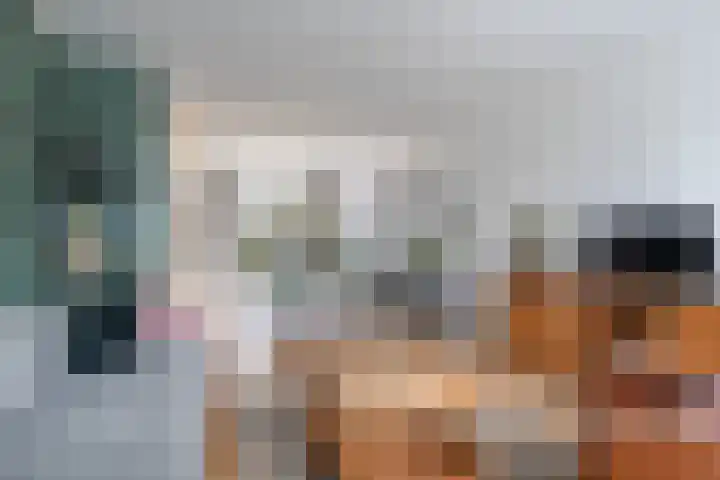Reidfoarn 25 Hurdegaryp thumbnail 6