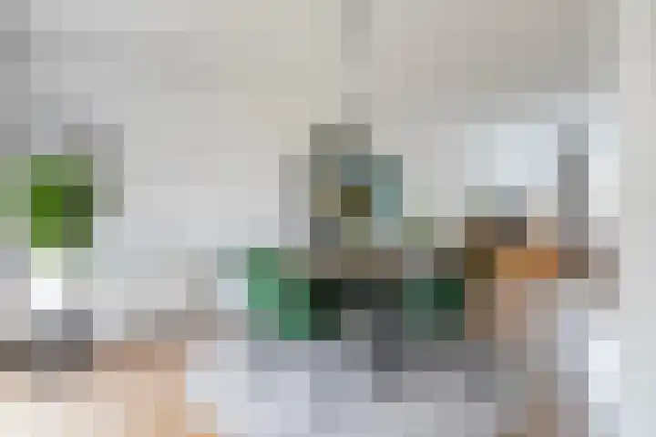 Reidfoarn 25 Hurdegaryp thumbnail 7
