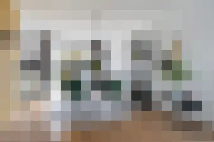 Reidfoarn 25 Hurdegaryp thumbnail 8