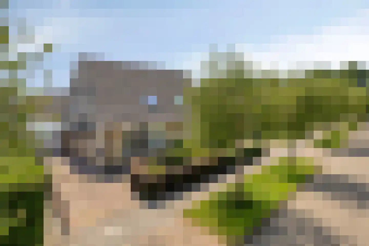 Reidhin 5 Hurdegaryp