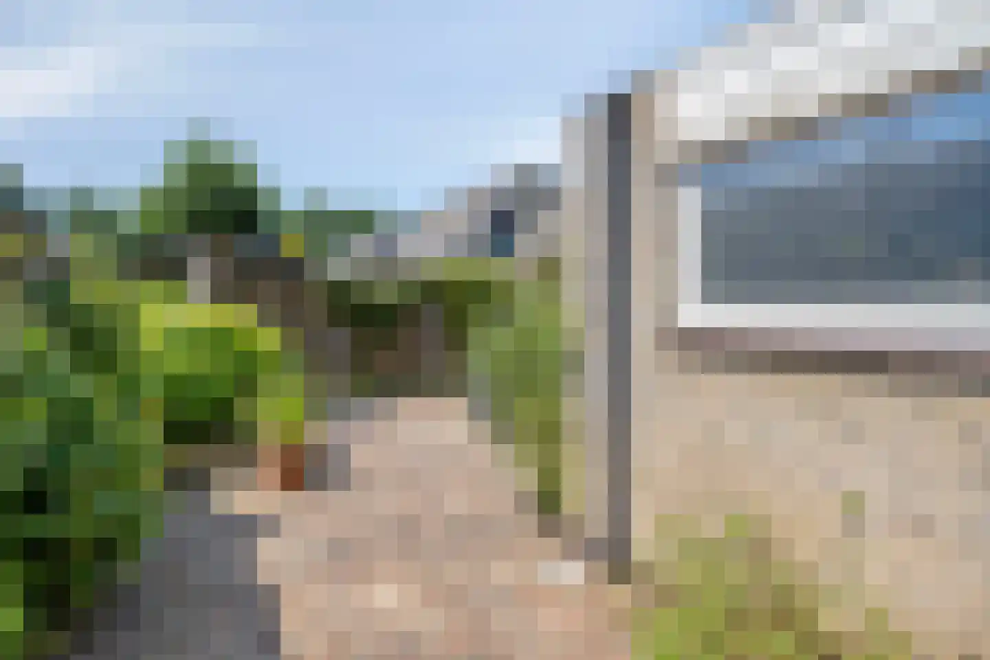 Reidhin 5 Hurdegaryp thumbnail 11