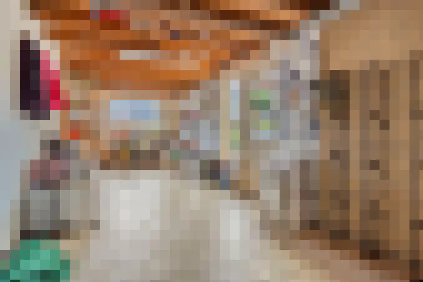 Reidhin 5 Hurdegaryp thumbnail 13