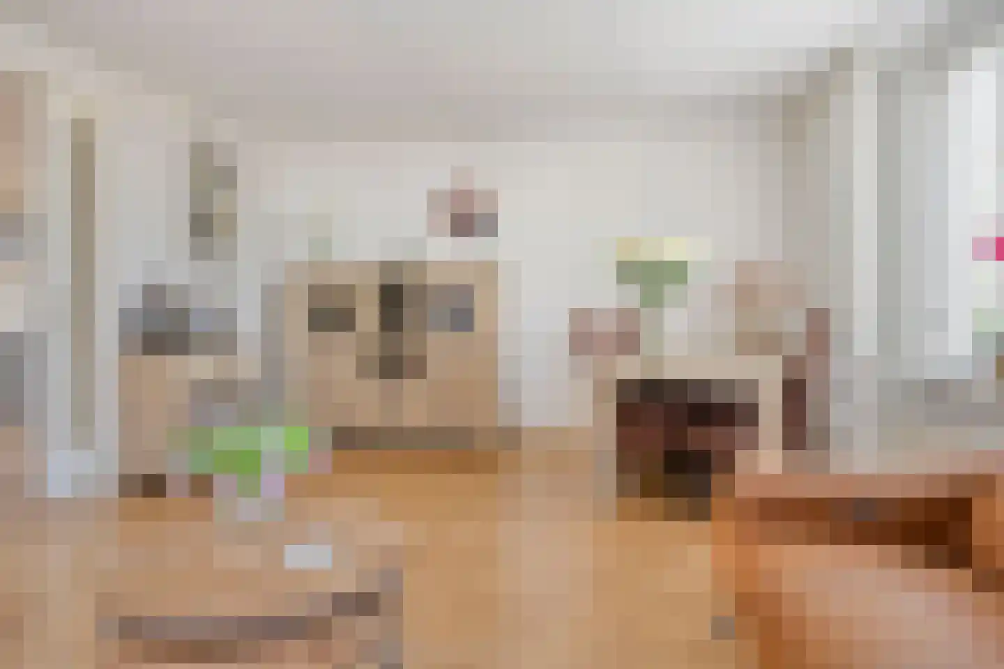 Reidhin 5 Hurdegaryp thumbnail 16