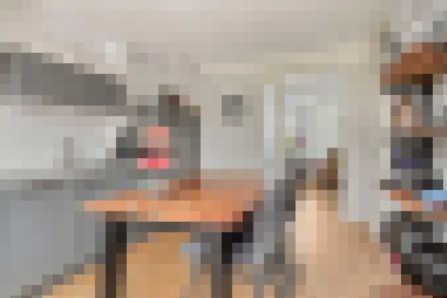 Reidhin 5 Hurdegaryp thumbnail 18