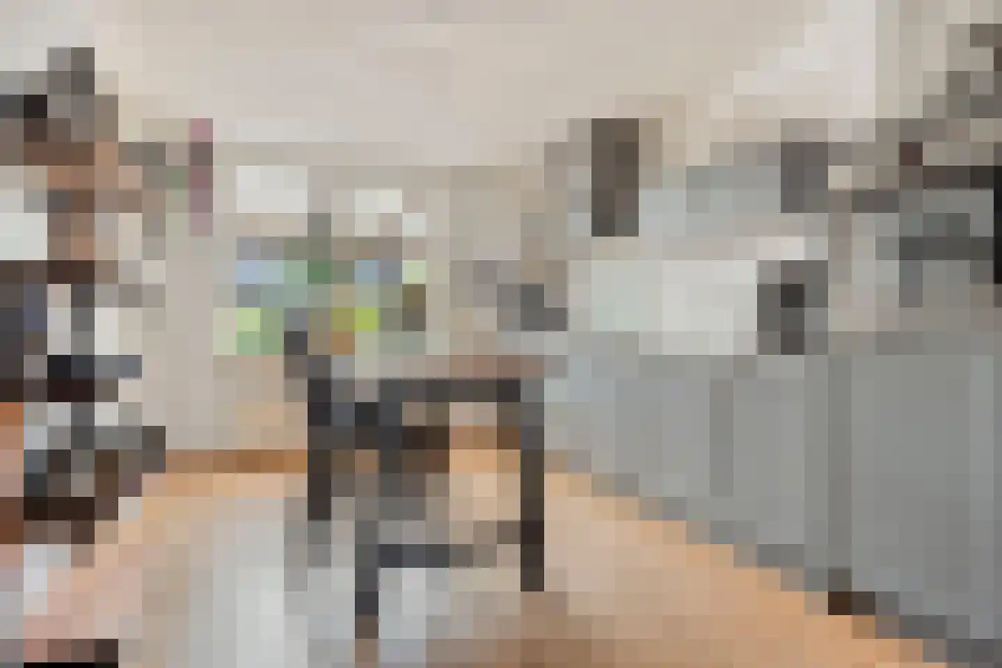 Reidhin 5 Hurdegaryp thumbnail 19