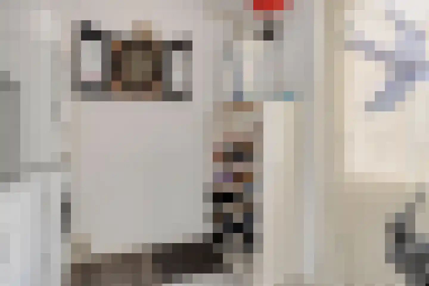 Reidhin 5 Hurdegaryp thumbnail 20