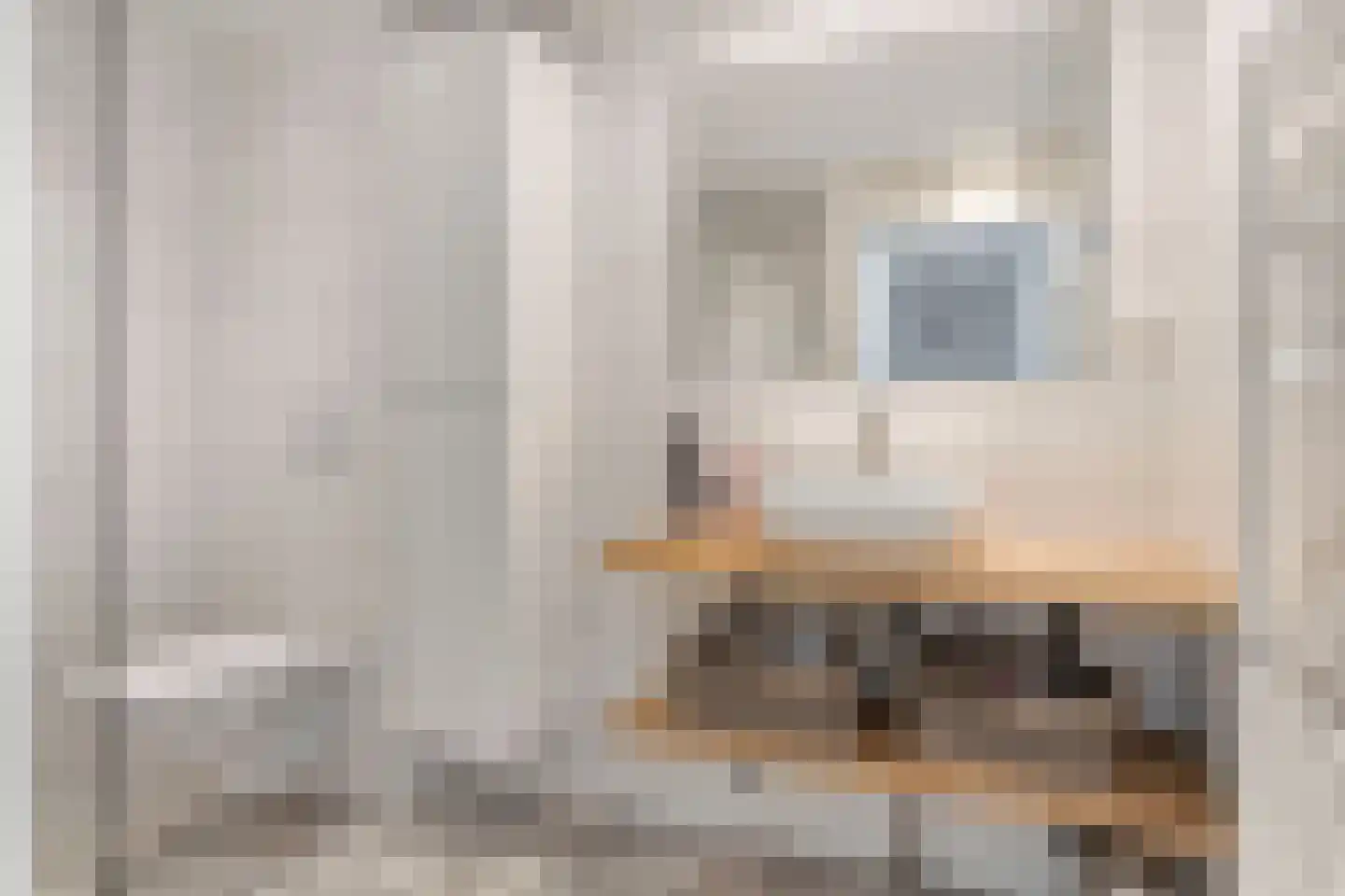 Reidhin 5 Hurdegaryp thumbnail 24