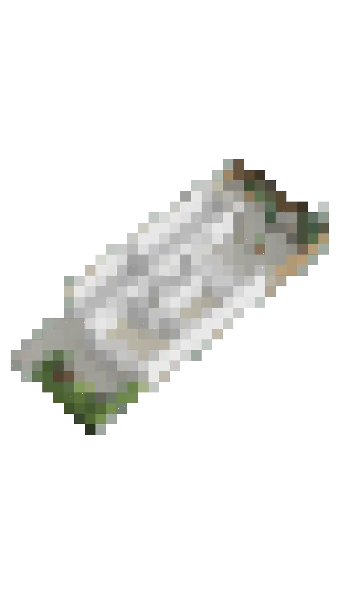 Reidhin 5 Hurdegaryp thumbnail 36