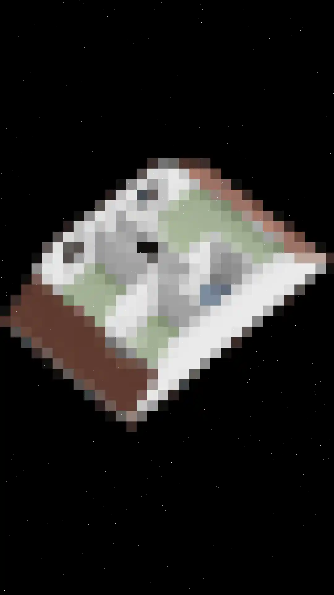 Reidhin 5 Hurdegaryp thumbnail 38