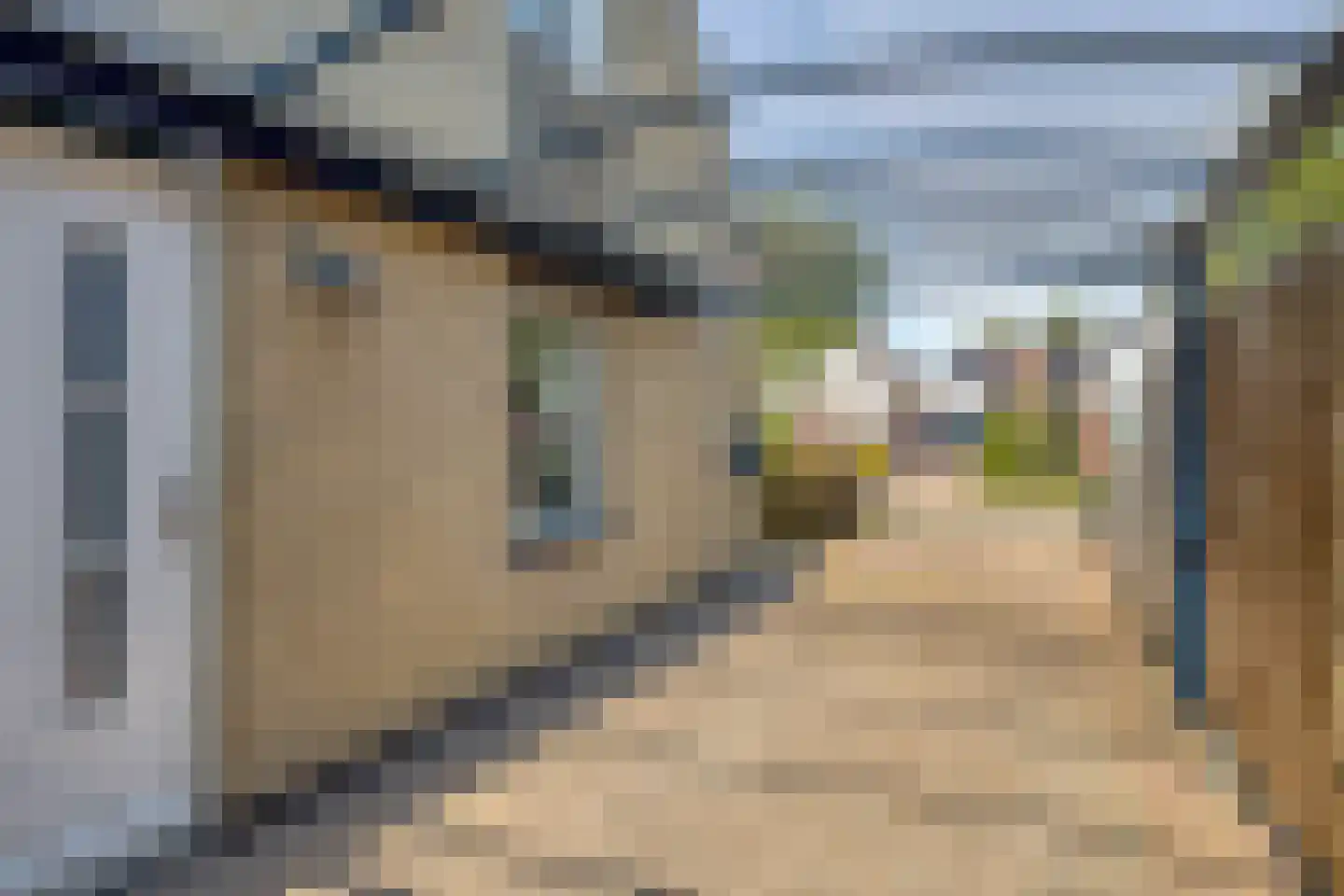 Reidhin 5 Hurdegaryp thumbnail 6