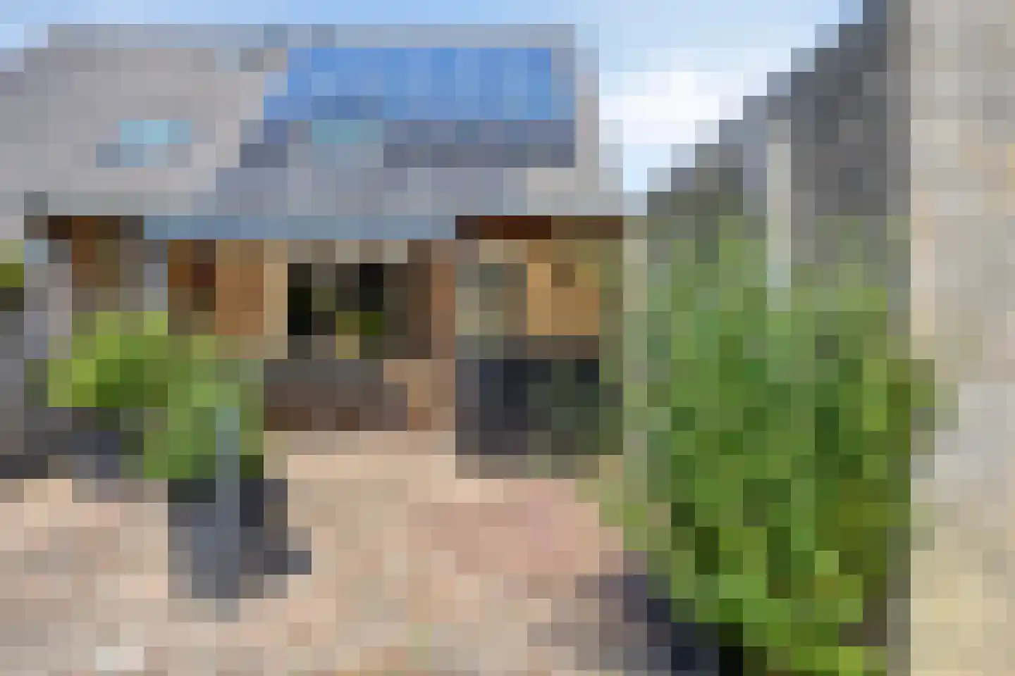 Reidhin 5 Hurdegaryp thumbnail 7