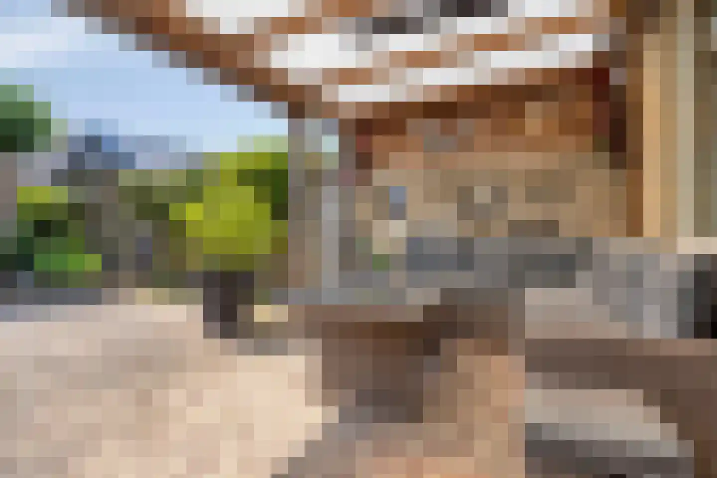 Reidhin 5 Hurdegaryp thumbnail 8