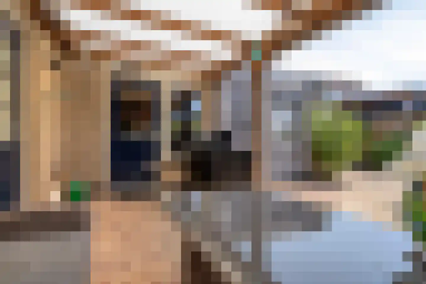 Reidhin 5 Hurdegaryp thumbnail 9