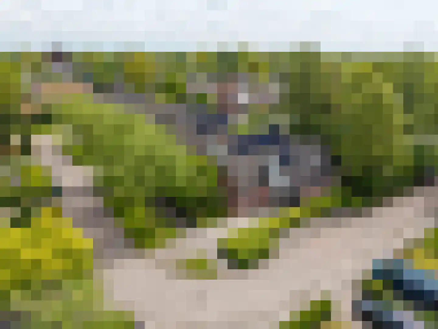 Reidikker 15 Ryptsjerk thumbnail 10