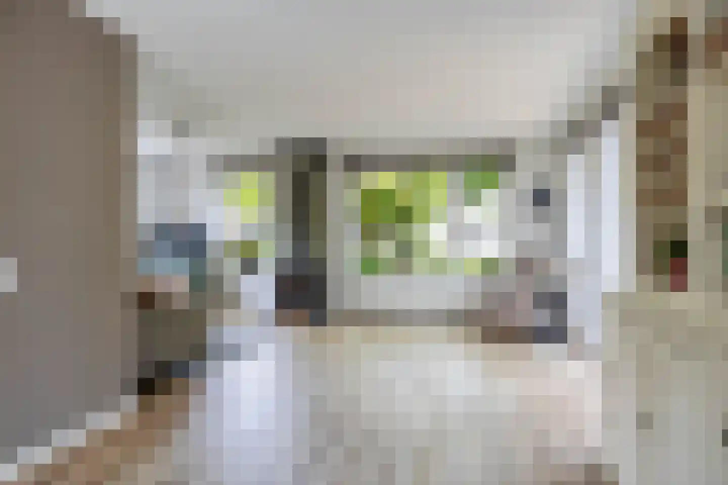 Reidikker 15 Ryptsjerk thumbnail 15